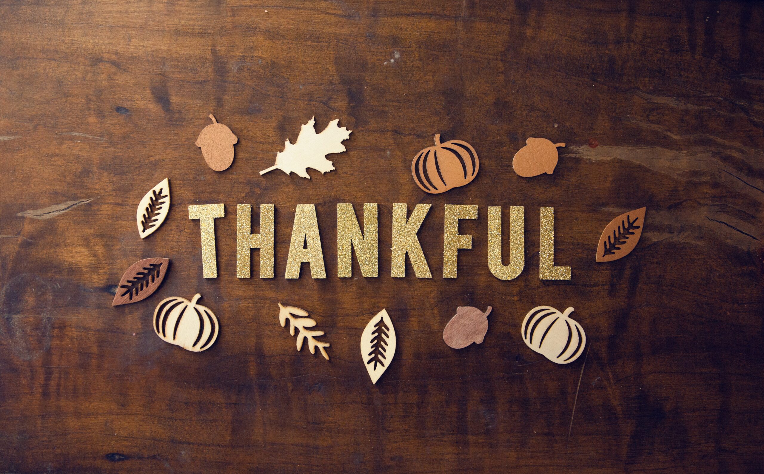Ways to Make Thanksgiving More Affordable 