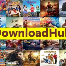 DownloadHub – Best Dual Audio Movies In 2022 on Download-Hub